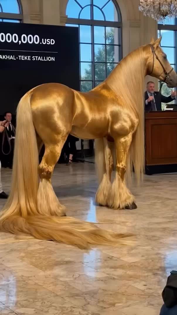 @horse 🐎