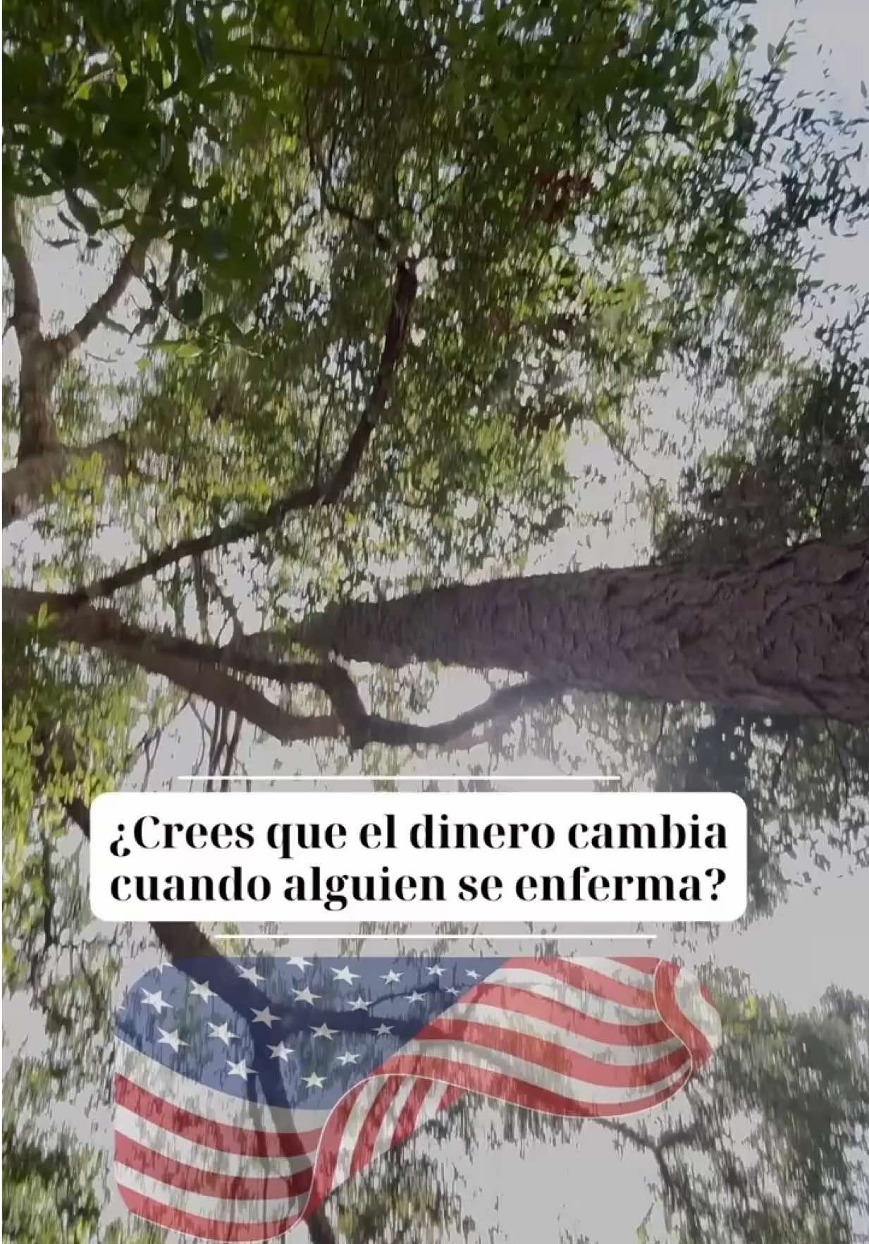 @✨Noreymys✨|MamáLatina|Seguros