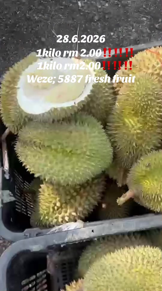 @fatah5887