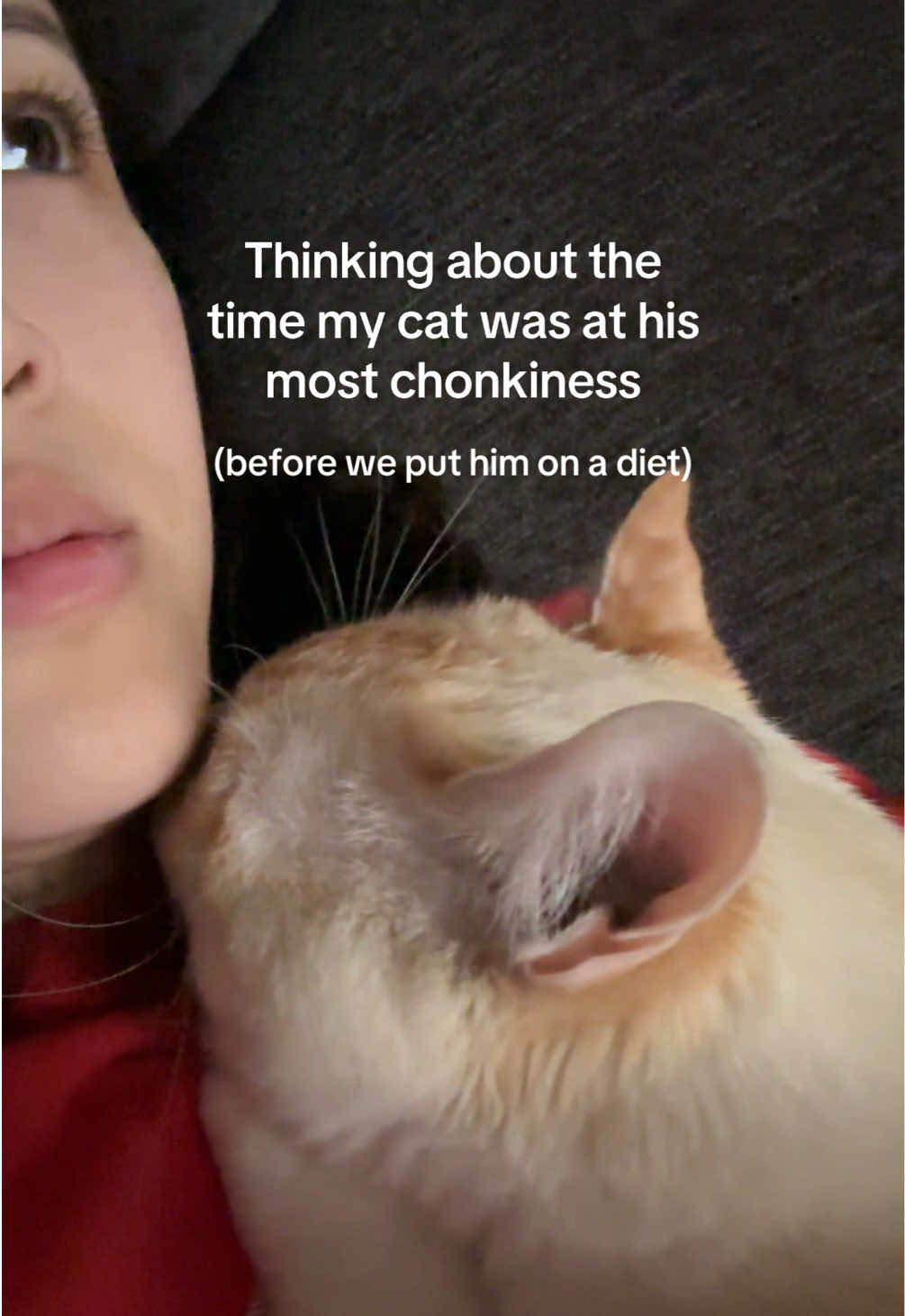 @Angel the Cat Mom