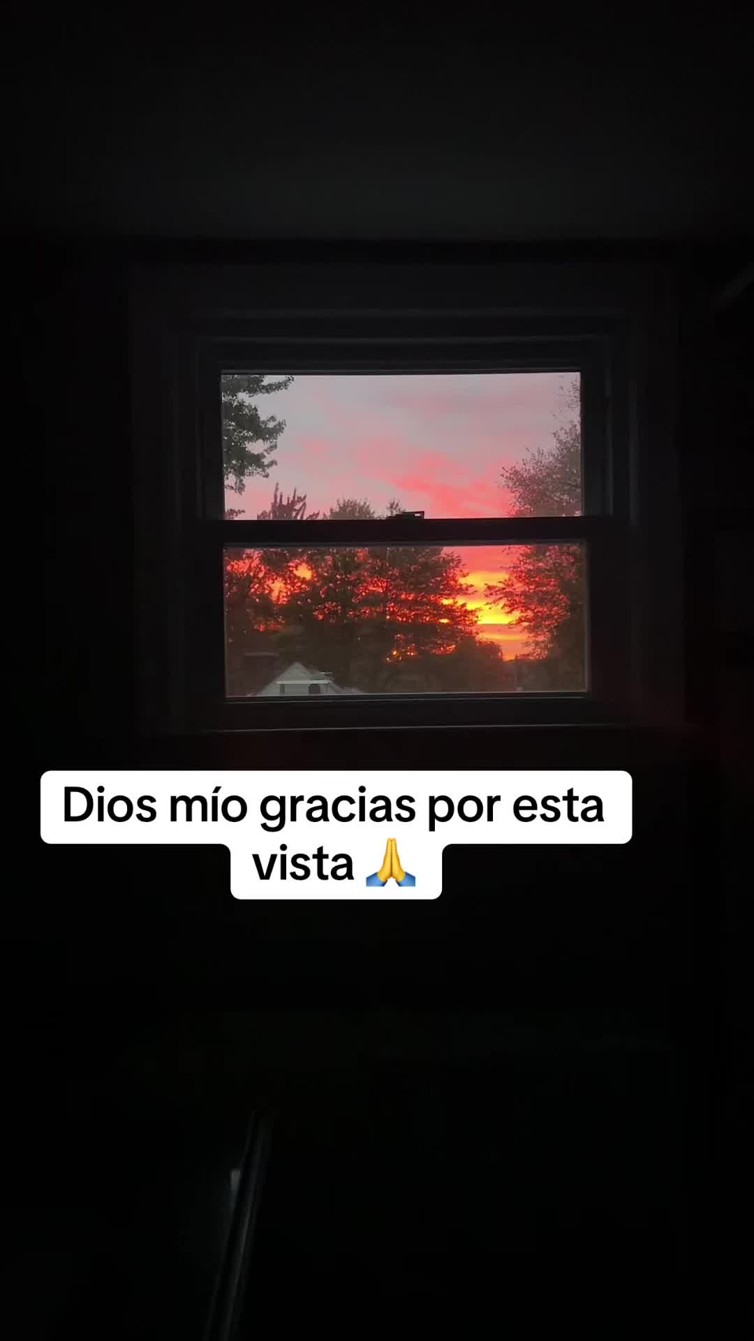 @Maria