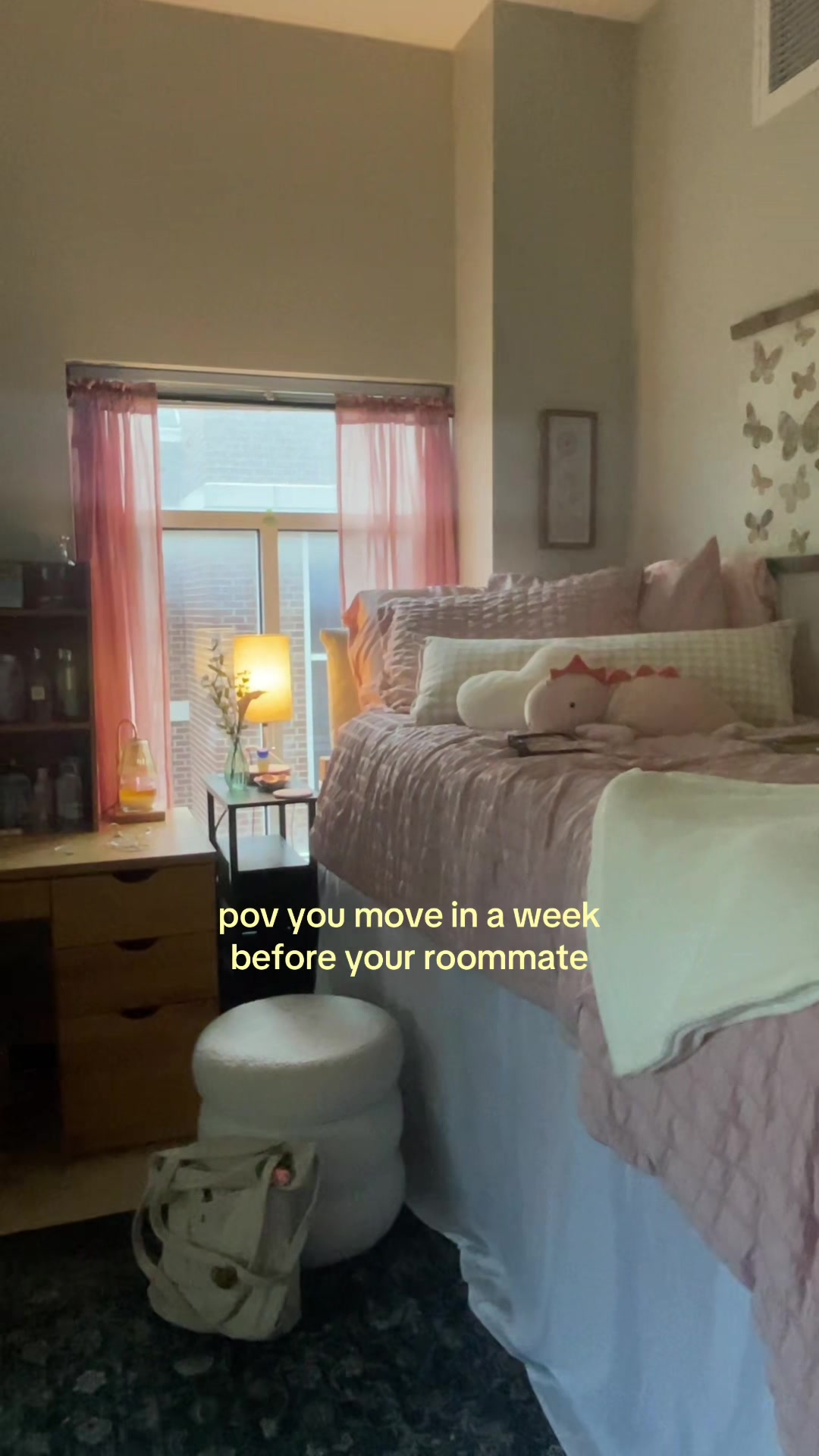 @abigail may 📀🎧