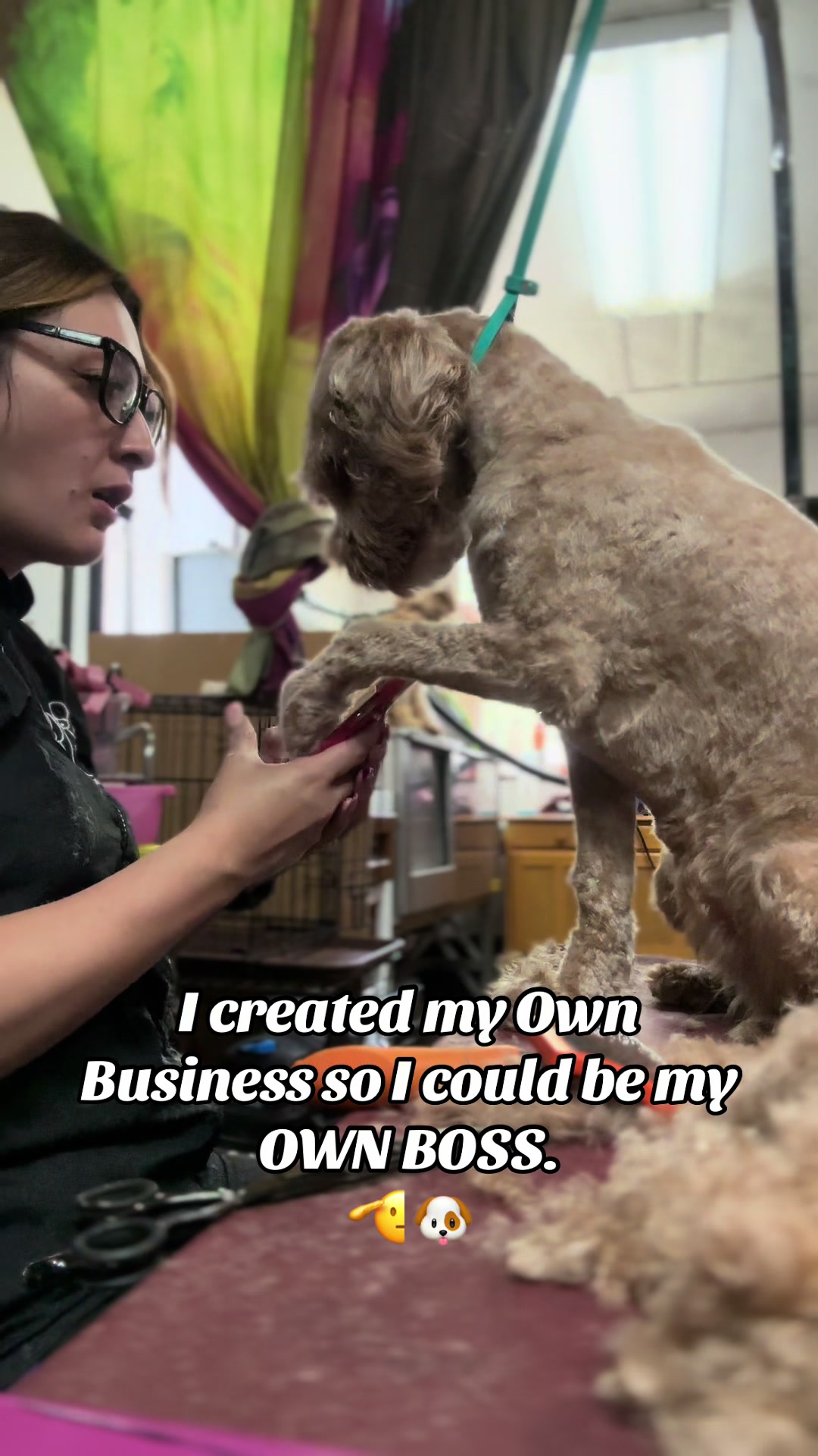 @PRETTY PAWS FURRY SALON🐾💜