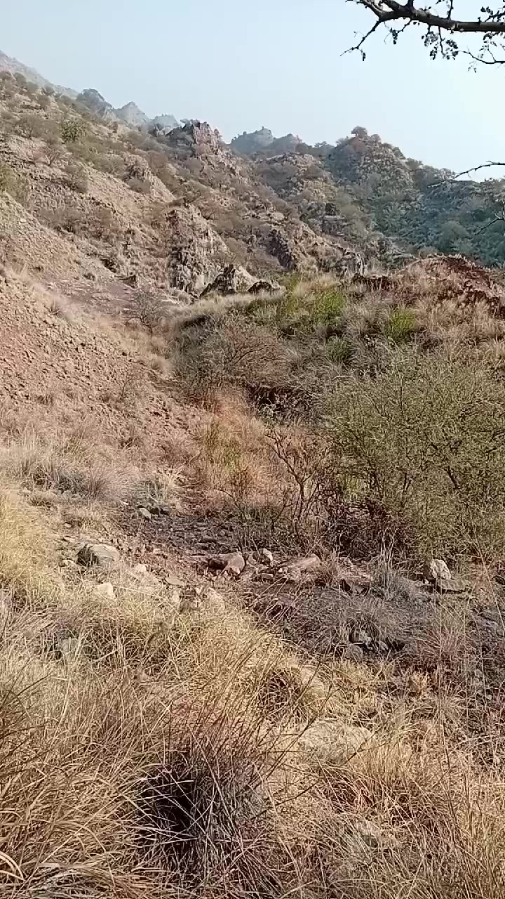 @asd123456