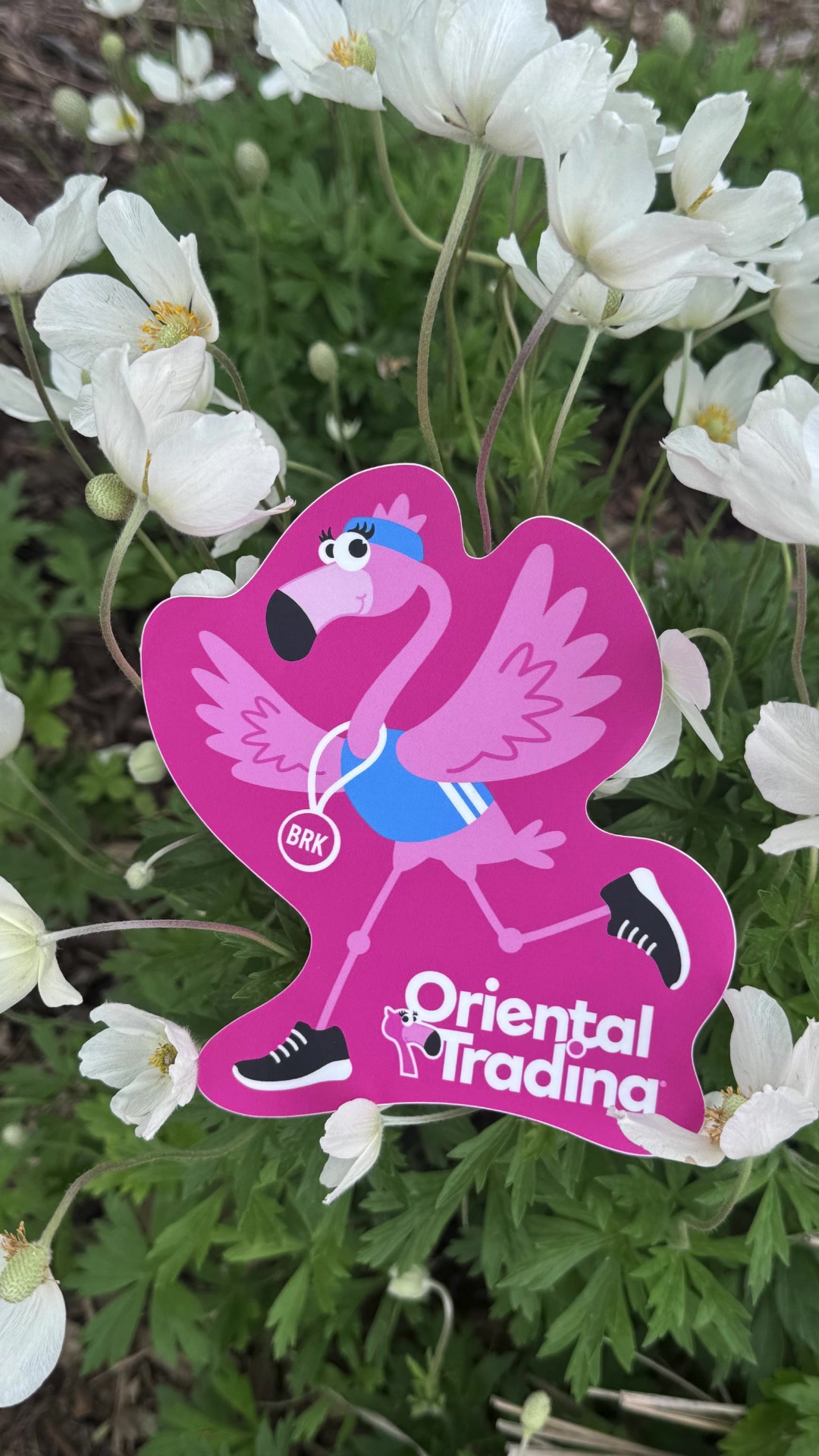 @Oriental Trading Company