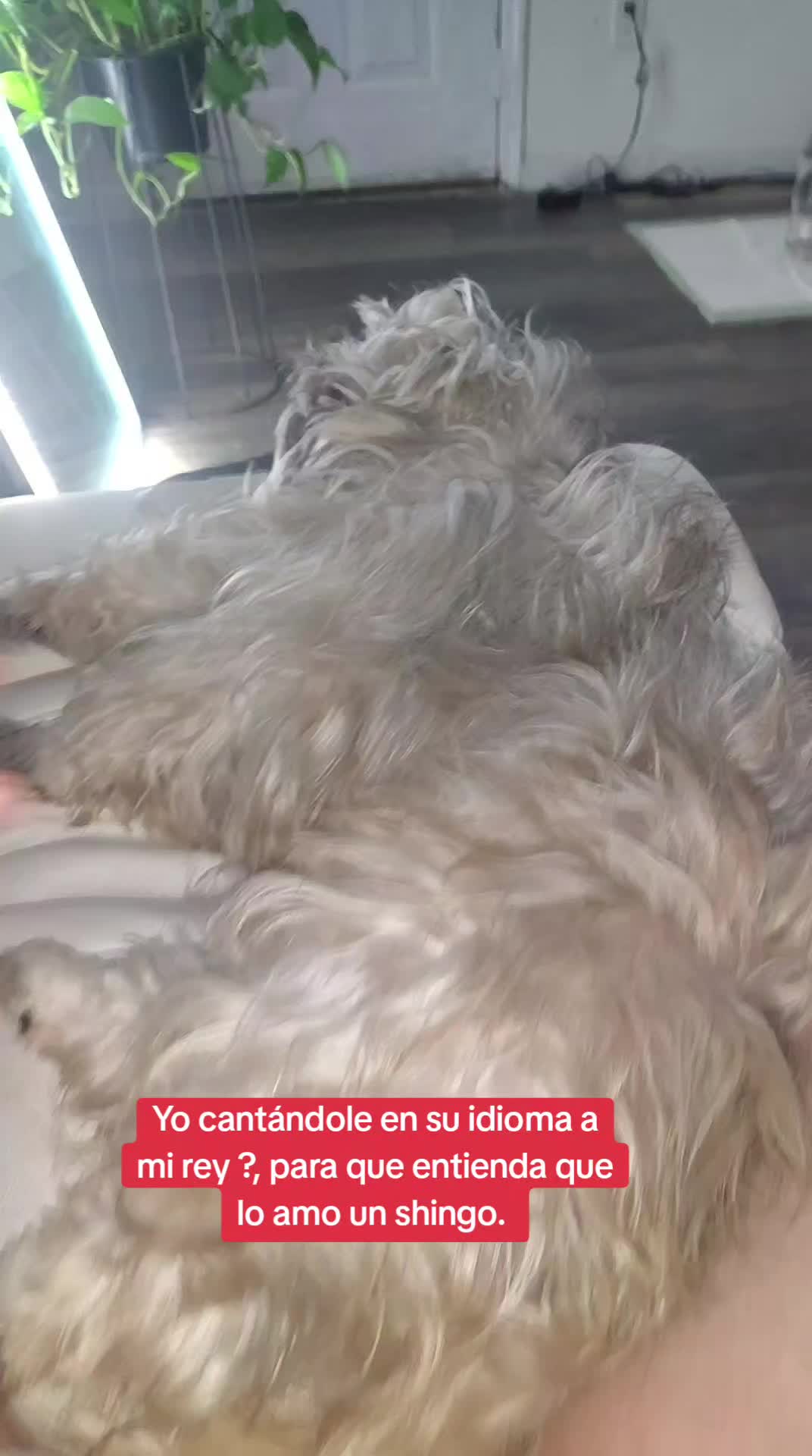 @Andrea Campos