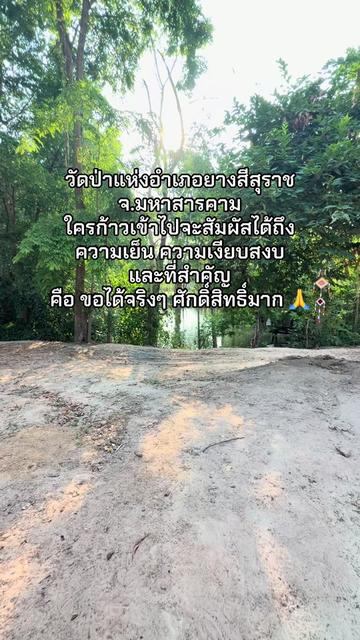 @Tea.Thilayu