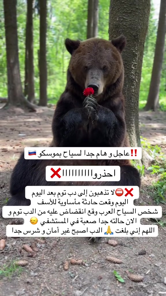 @tourism_russia_company