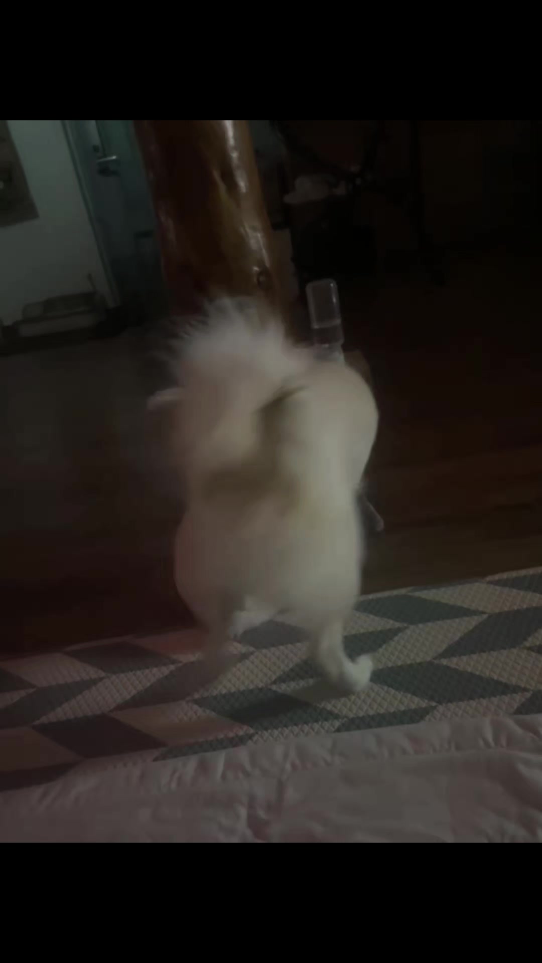 @쏭이