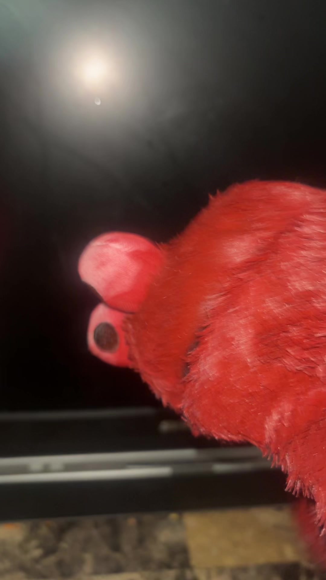 @The redest Elmo ❤️