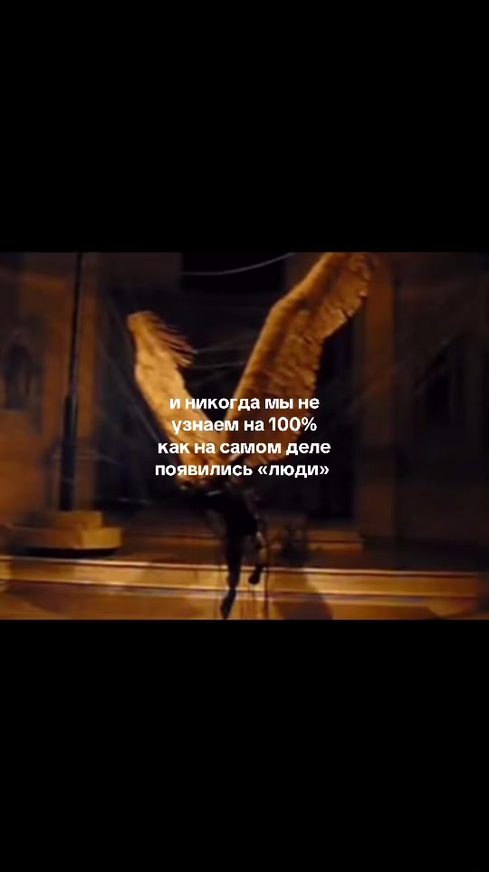 @bubufacts