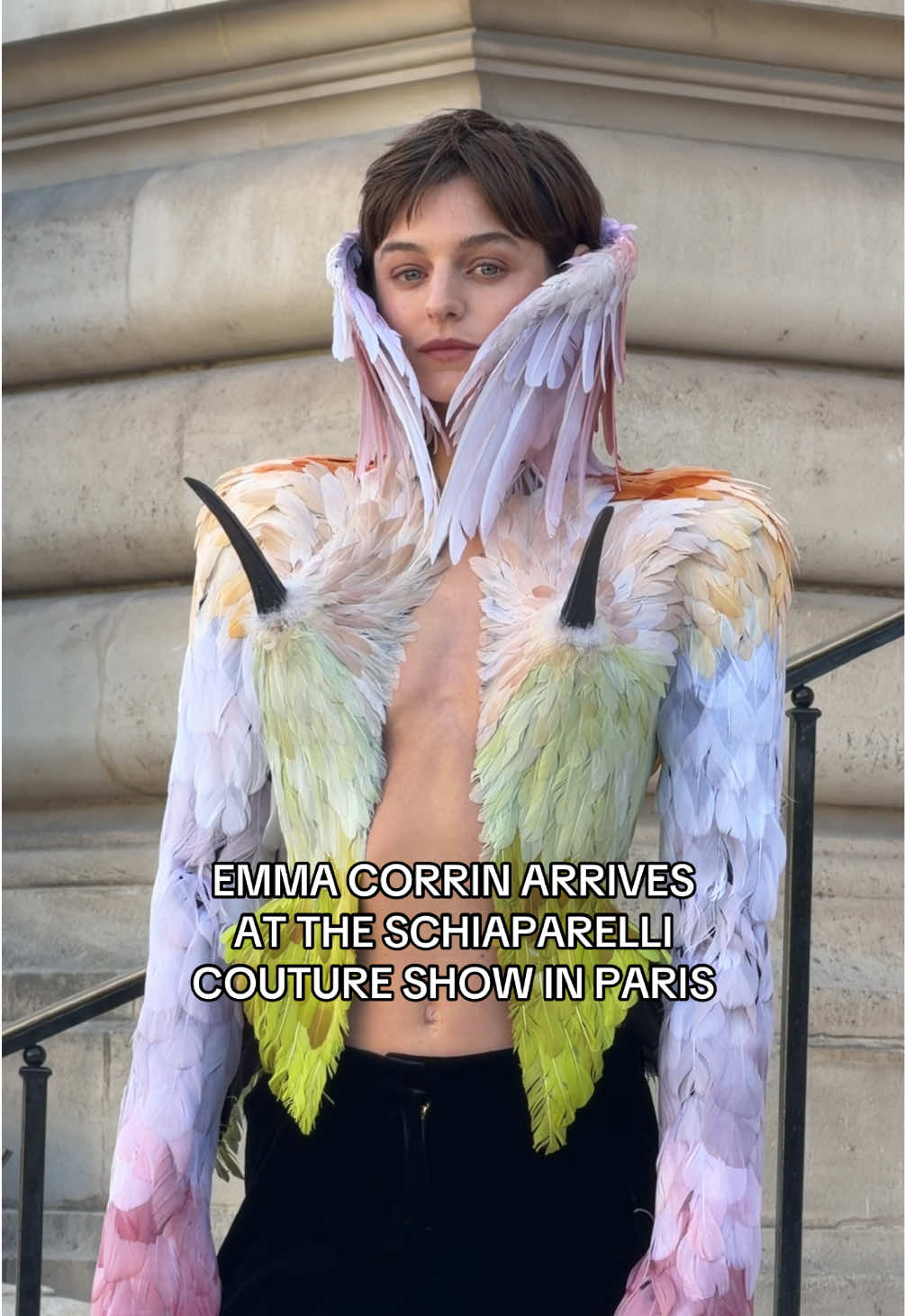 @whowhatwear