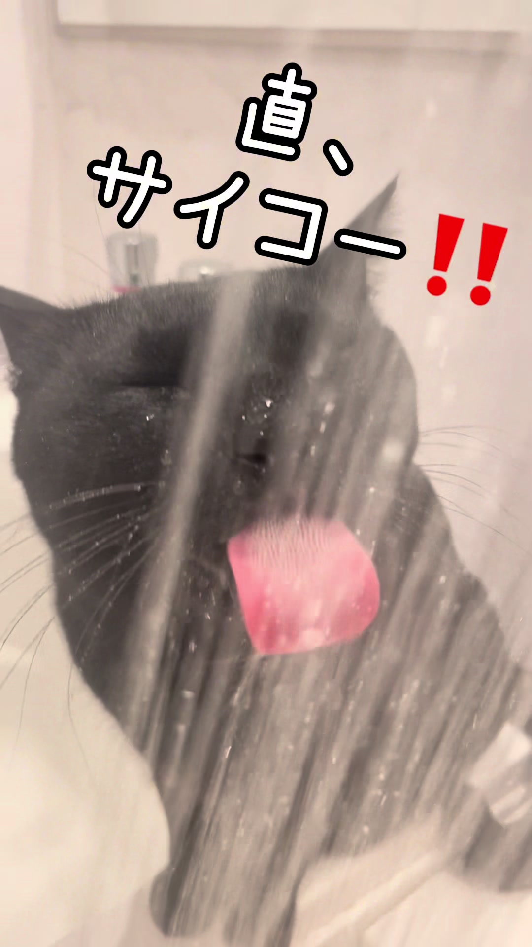 @Chikurokie