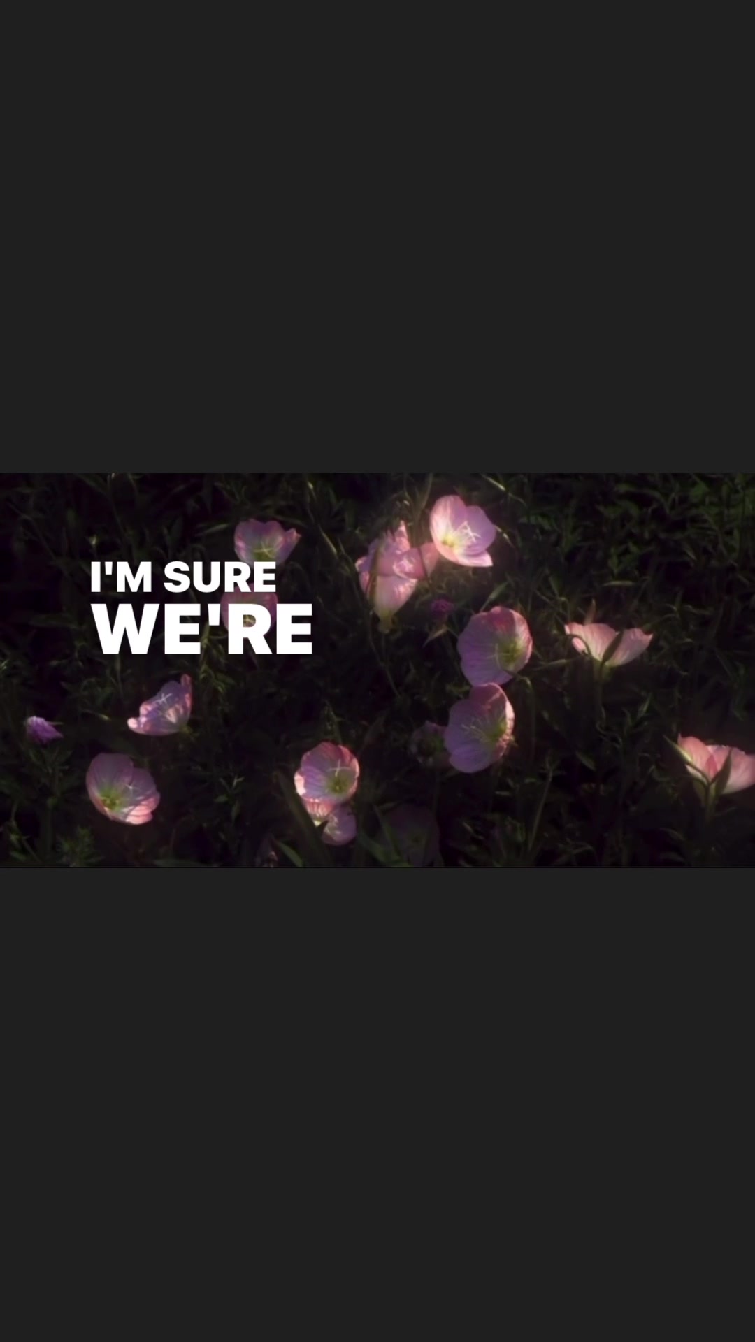 @its.isaki