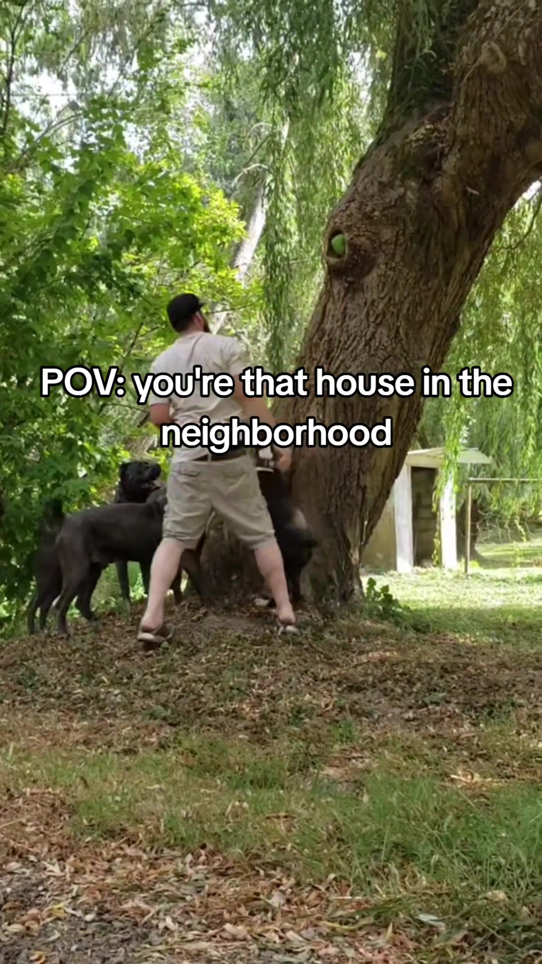 @SalmonCreekCaneCorso