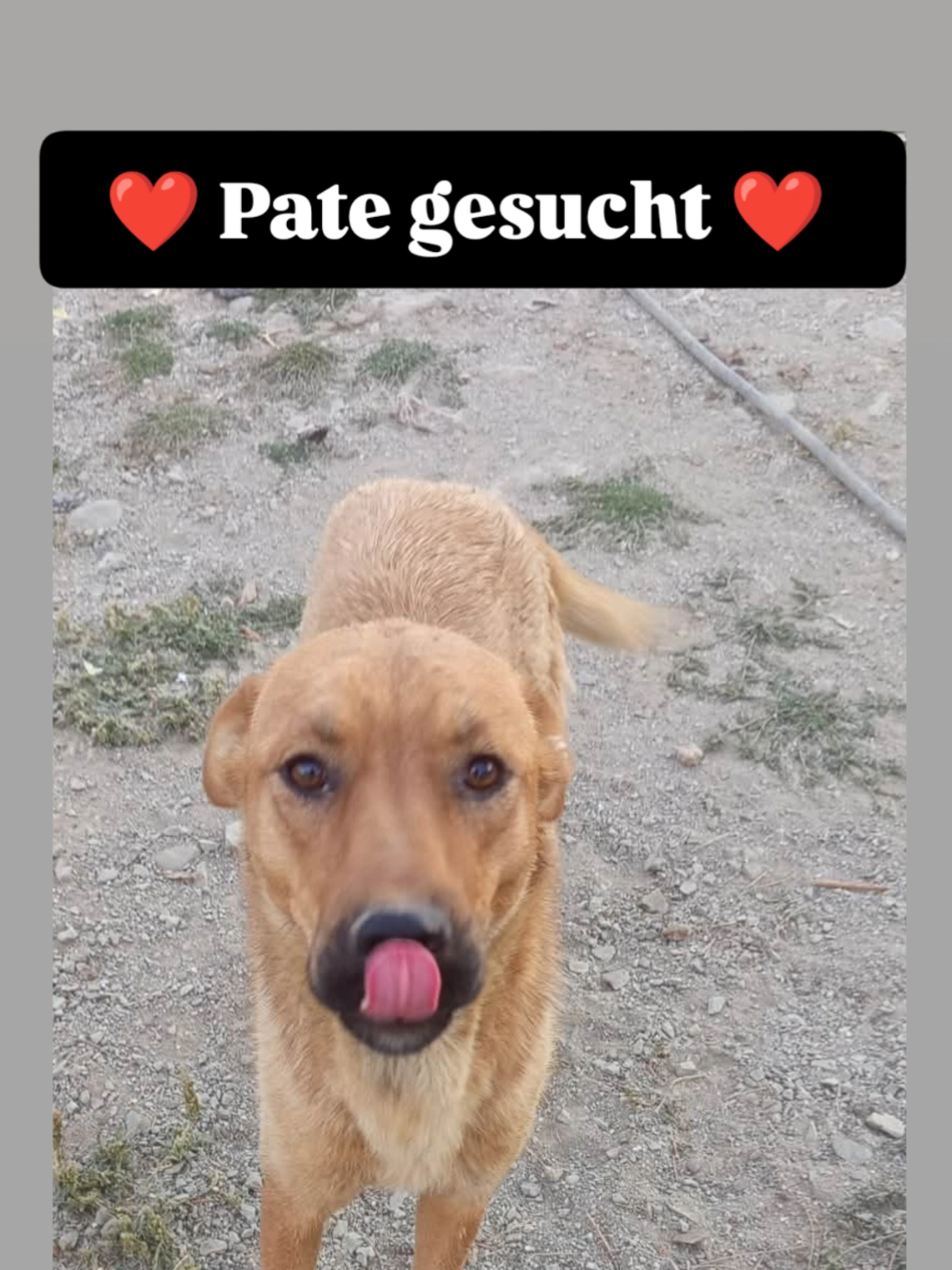 @TSV Candostlari-Beste Freunde
