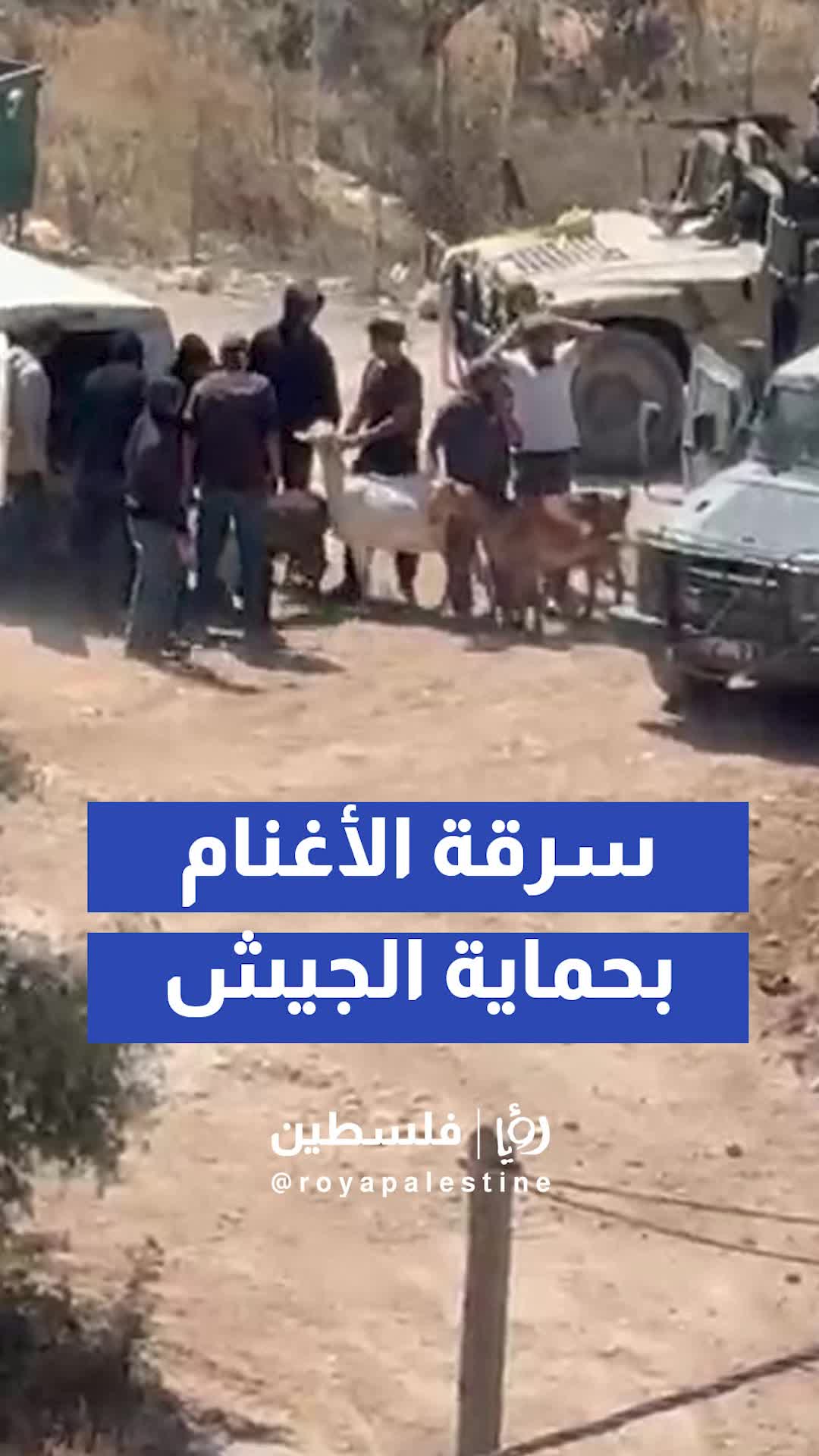 @Royapalestine رؤيا فلسطين