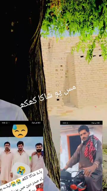 @زندہ شاکاکھکھ