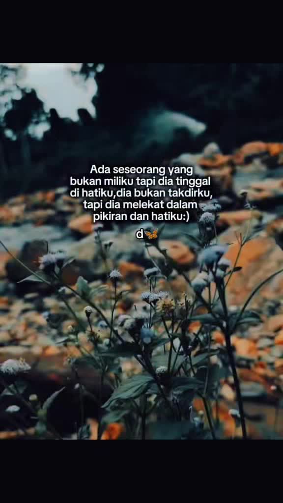 @🦋