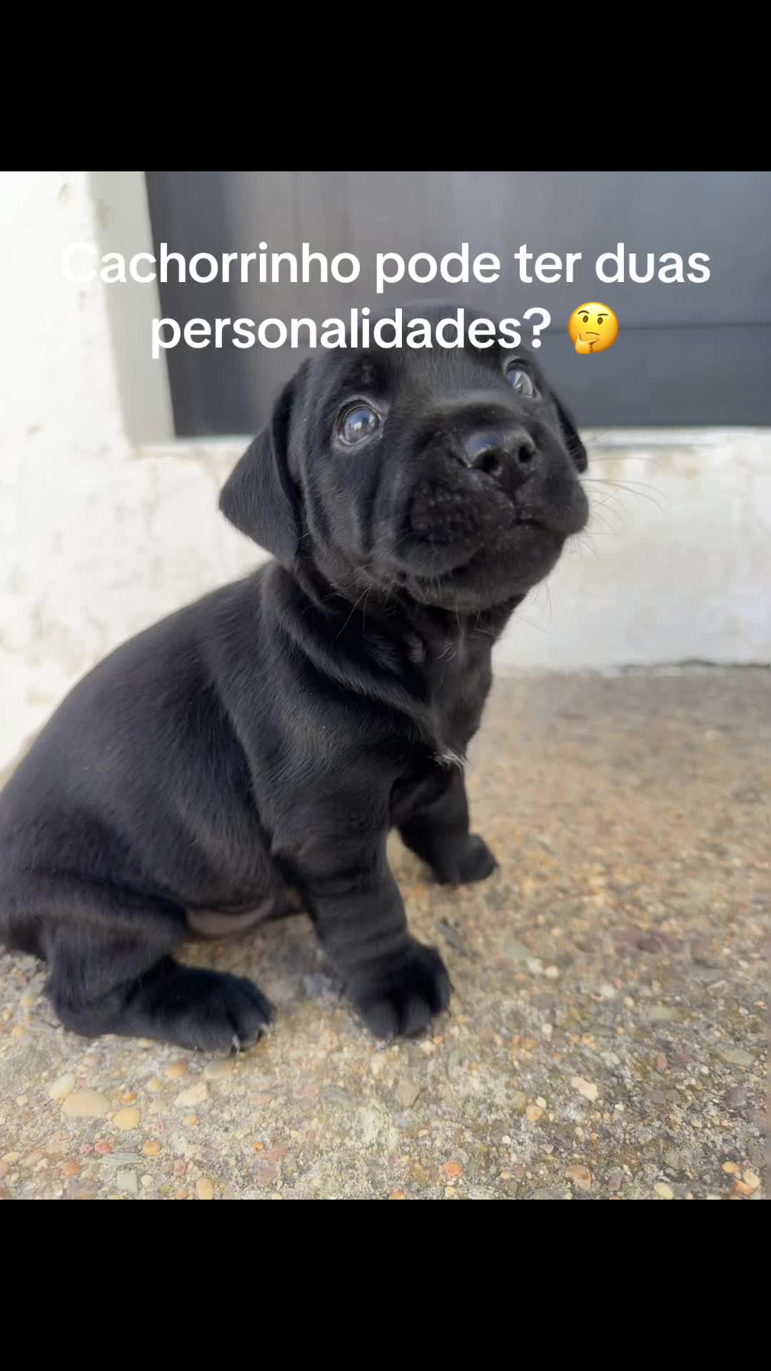 @caroolliinaa__