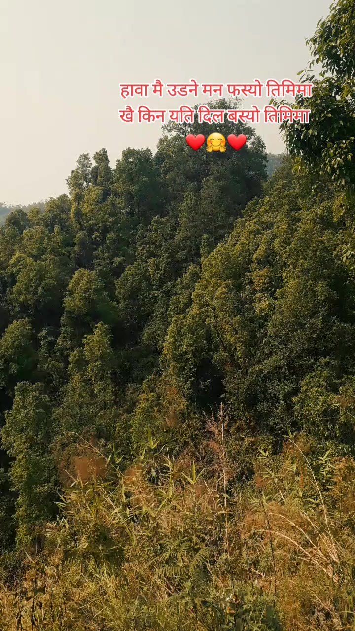 @सरु गुरुङ
