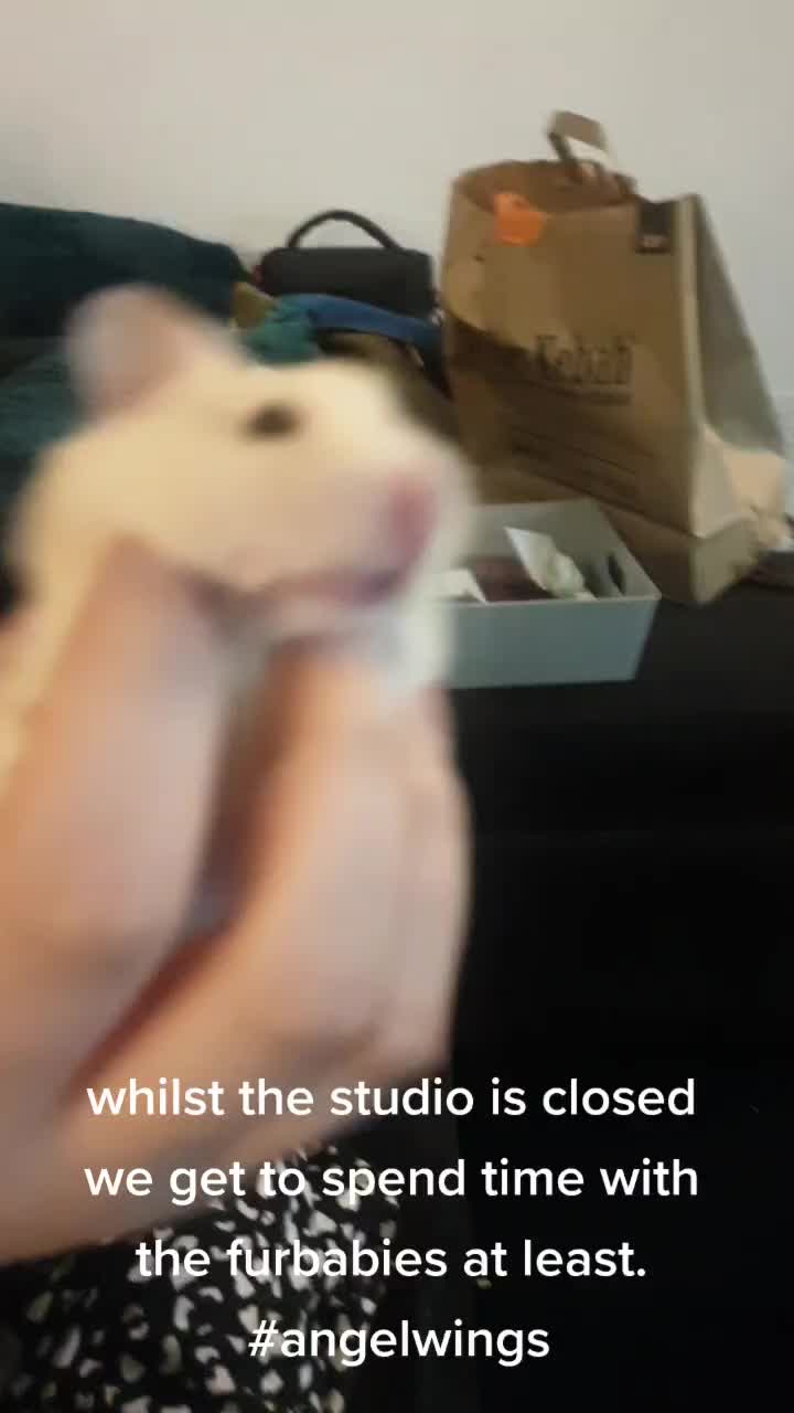 @Labyrinth Tattoo
