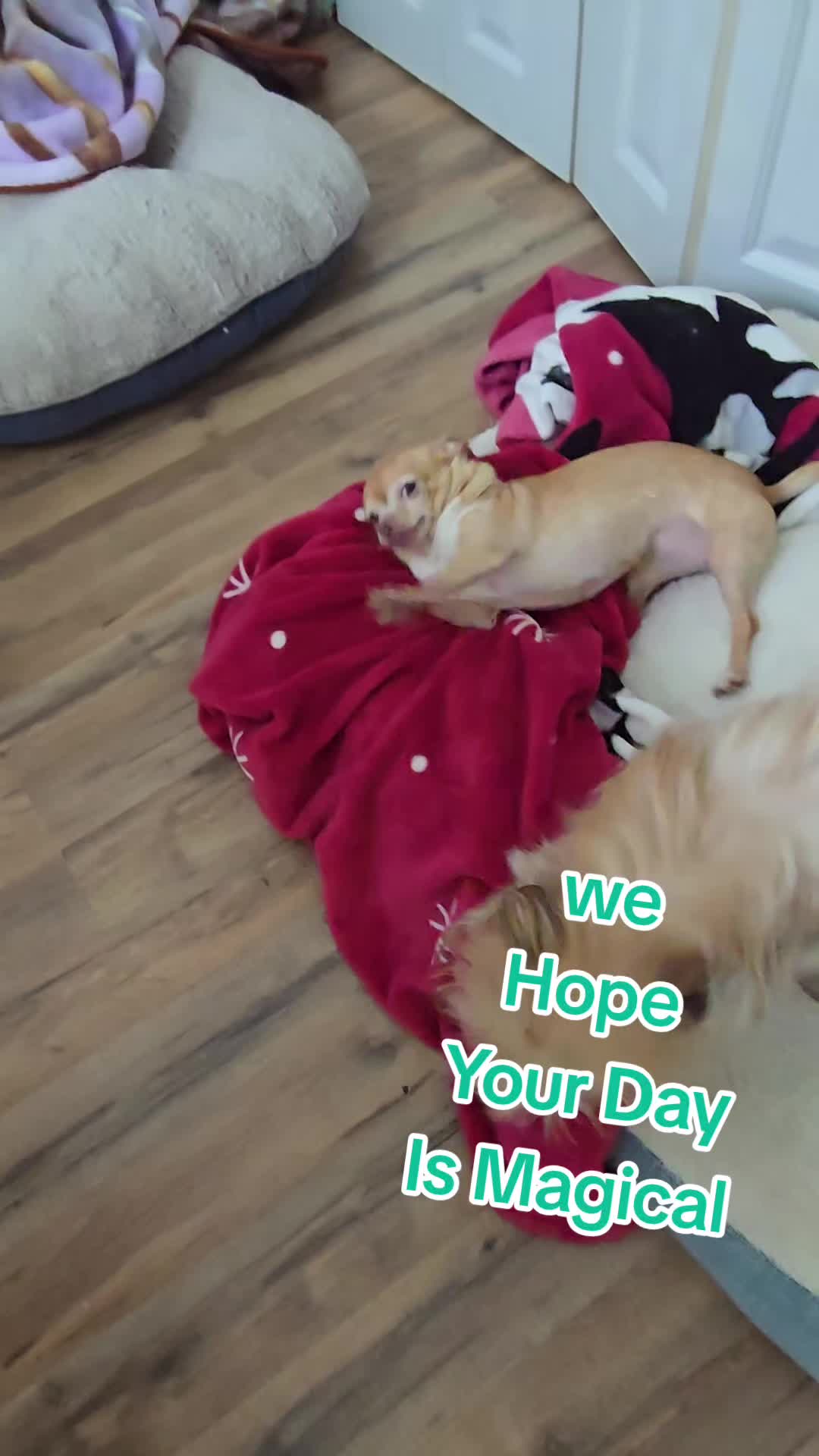 @Red