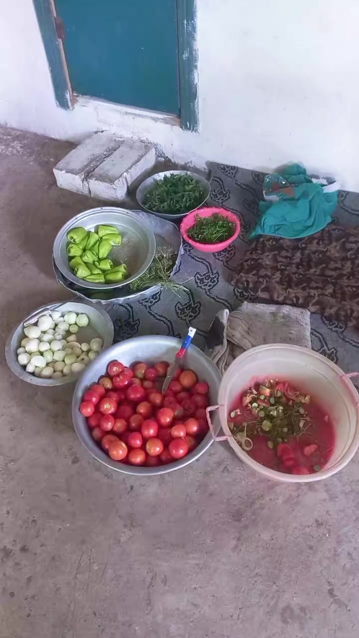 @İlqarAlışovOfficial