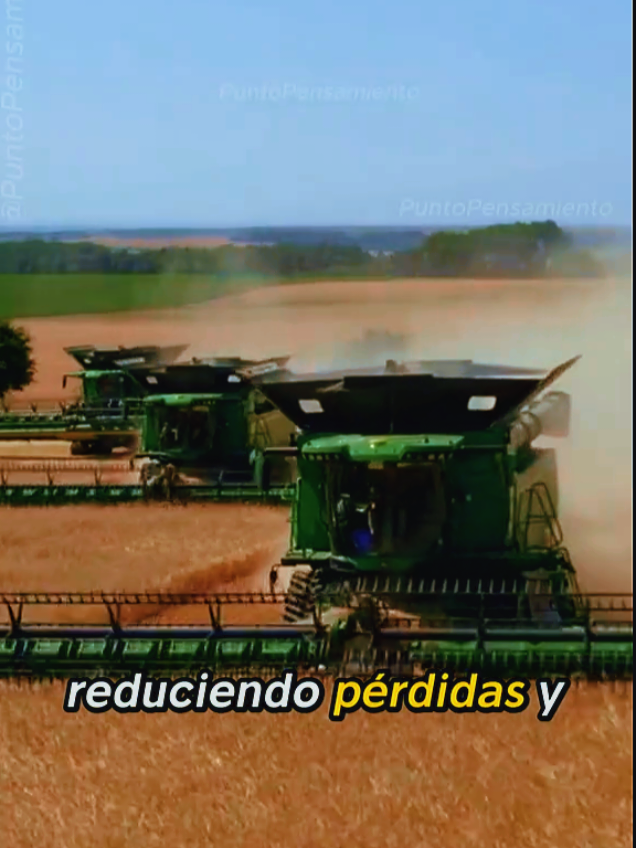 @Christian Jolón