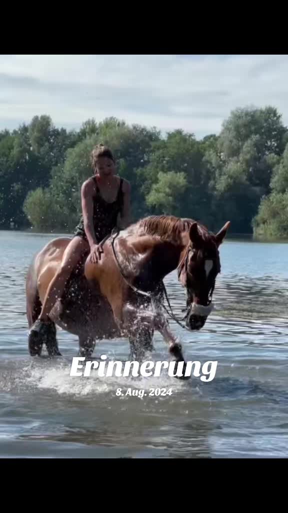 @Another_sunrise_farm