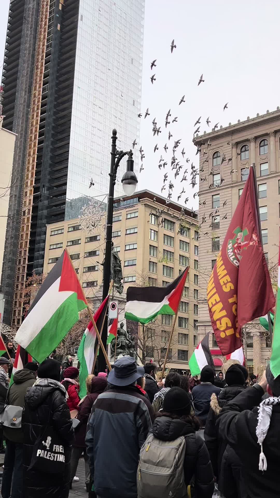 @montreal4palestine