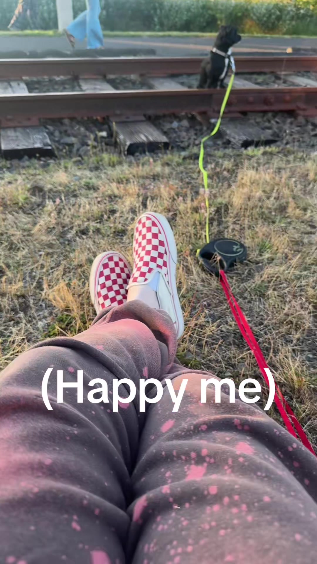 @laymejamie