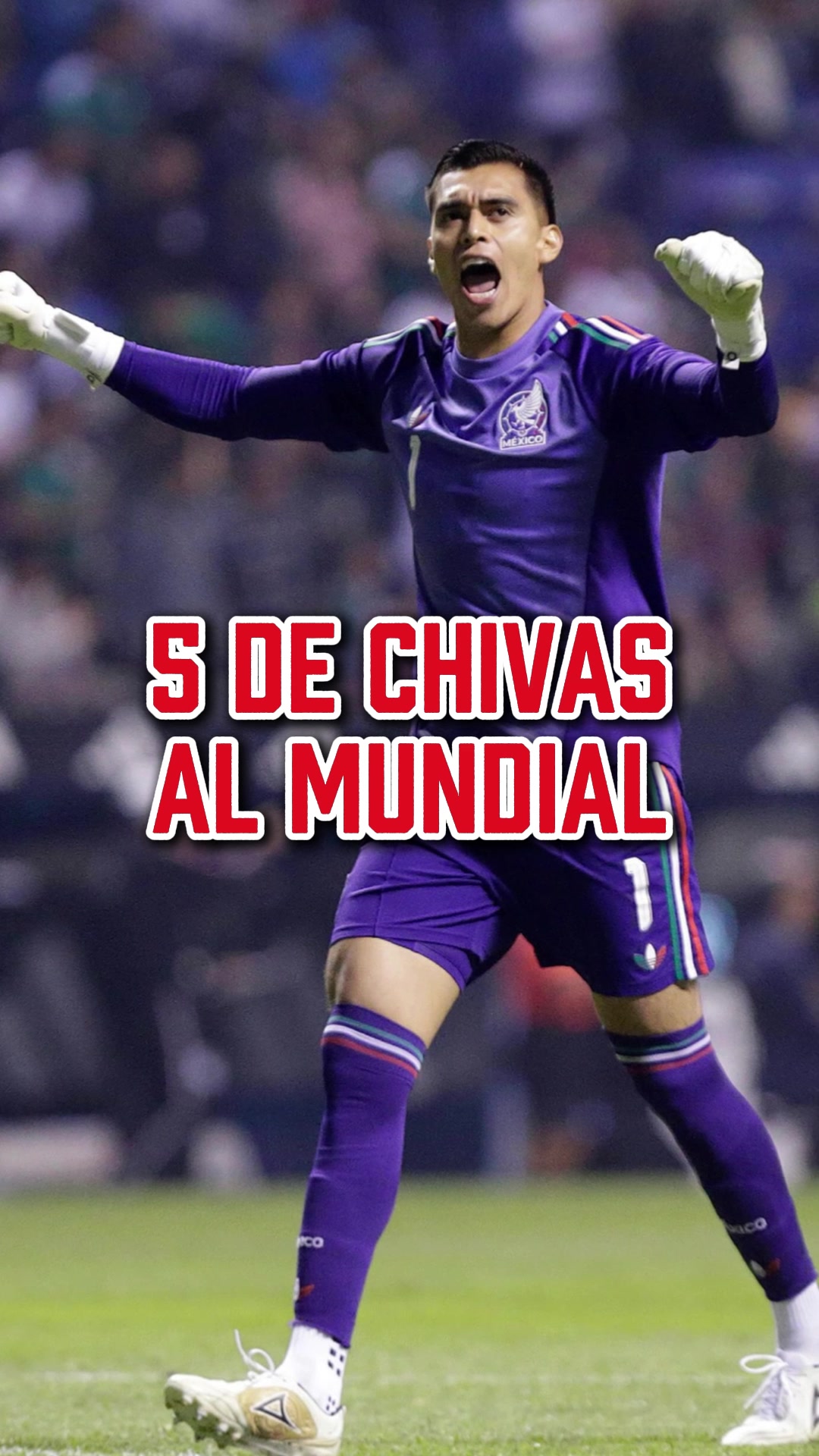 @Jesús Bernal