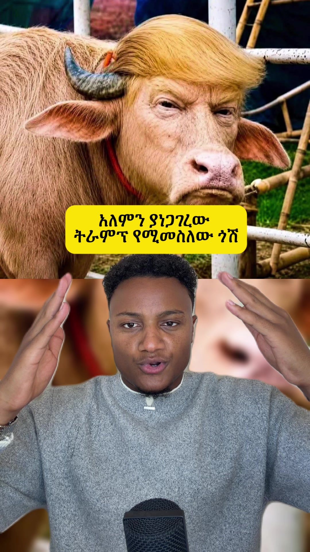 @Biruke_fact