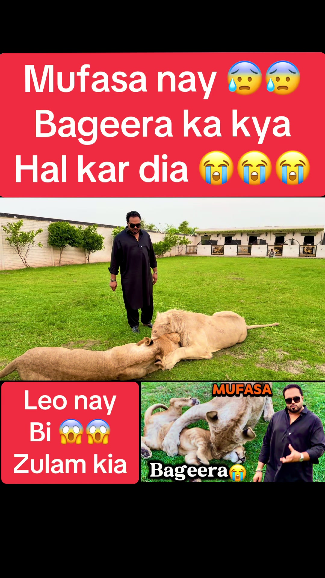 @Mian saqib