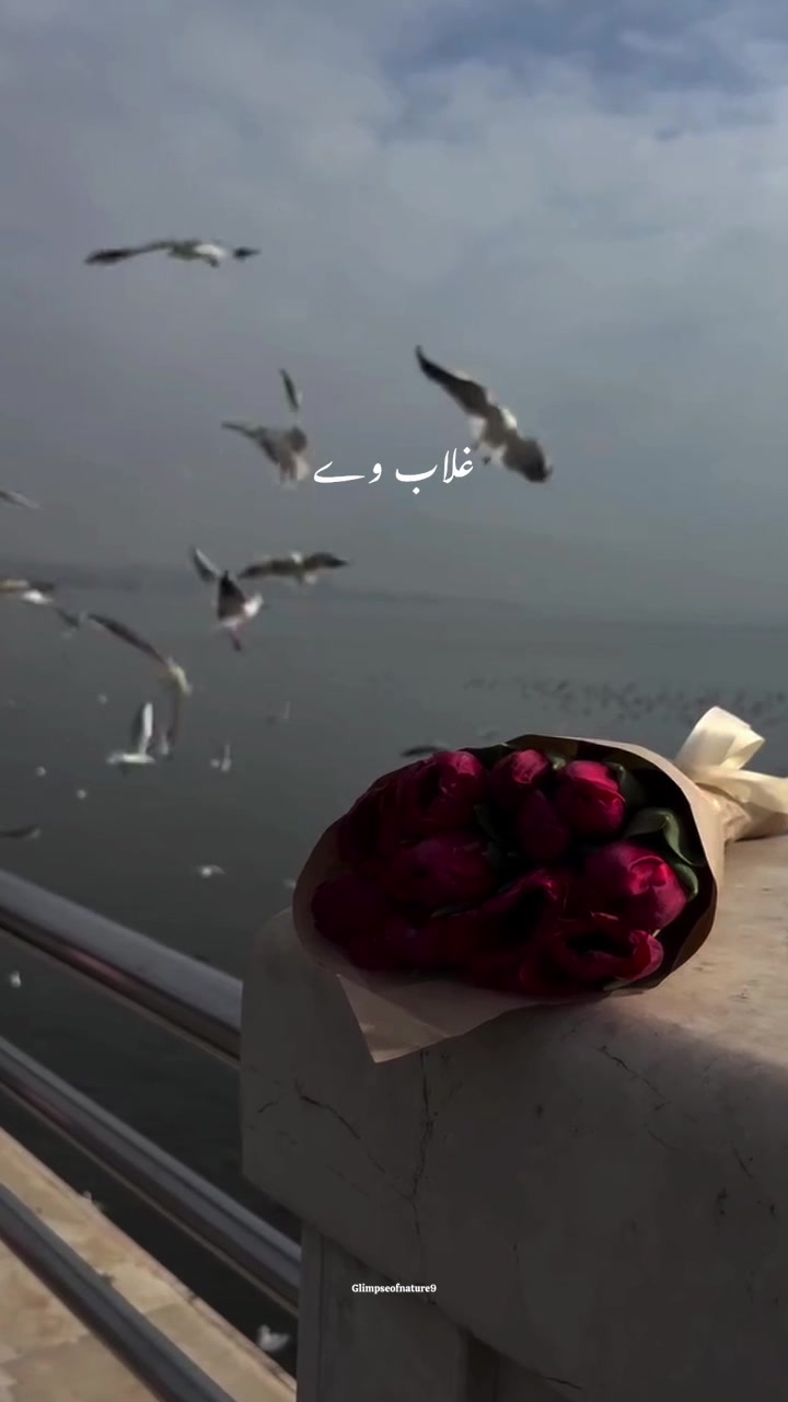 @Amna Mir❥