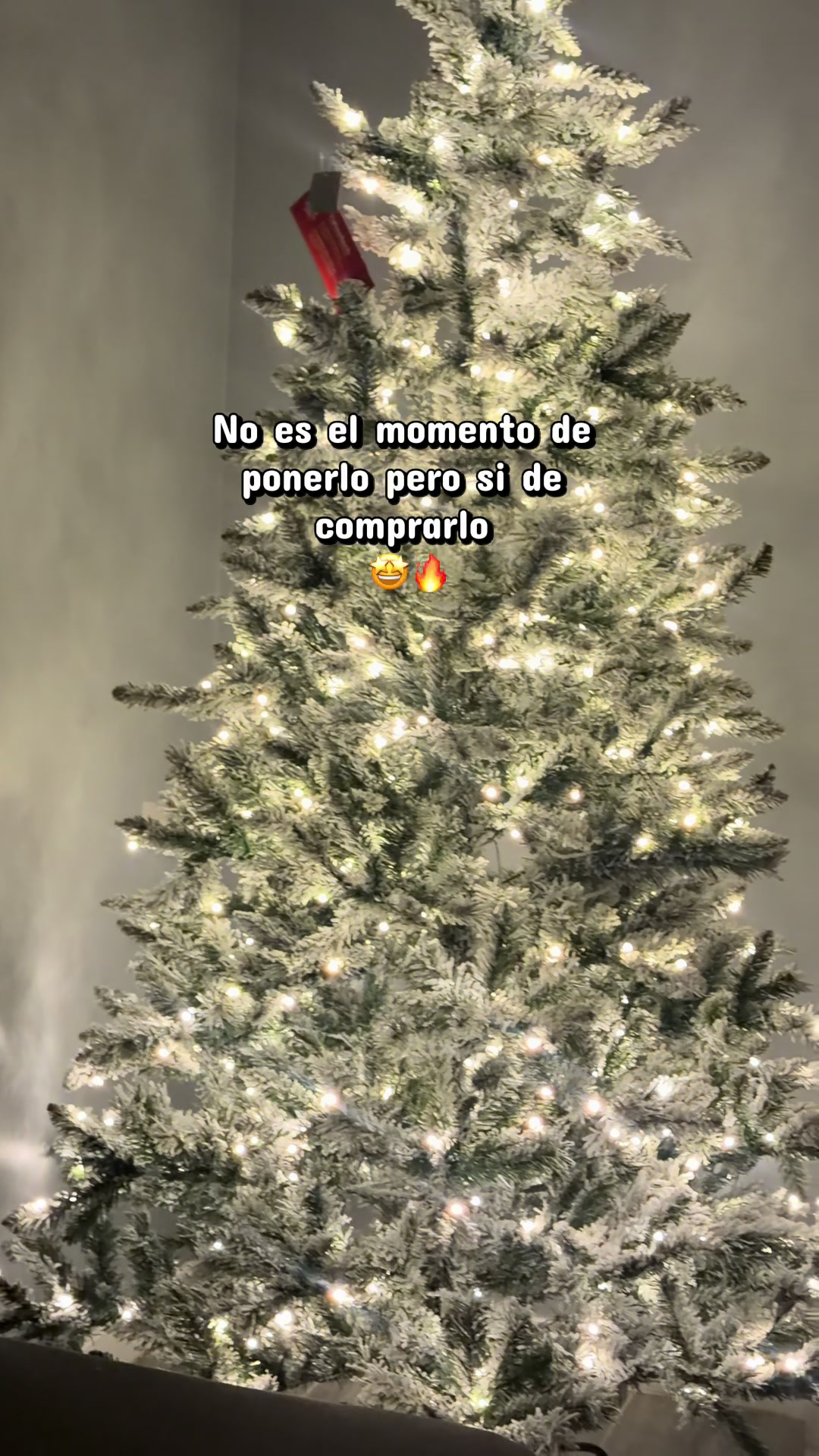 @alivalenciall