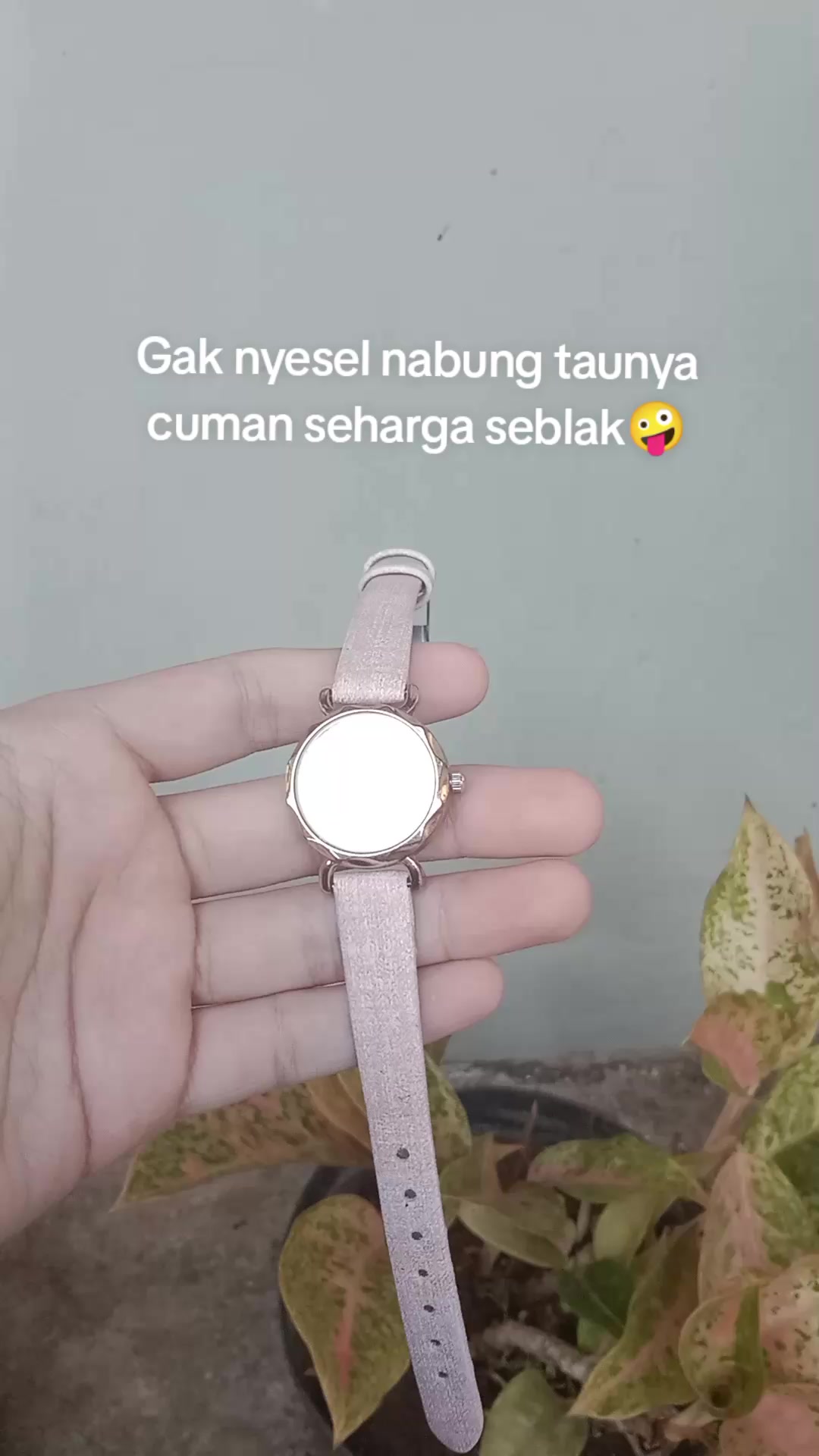 @S-tetik 🛒