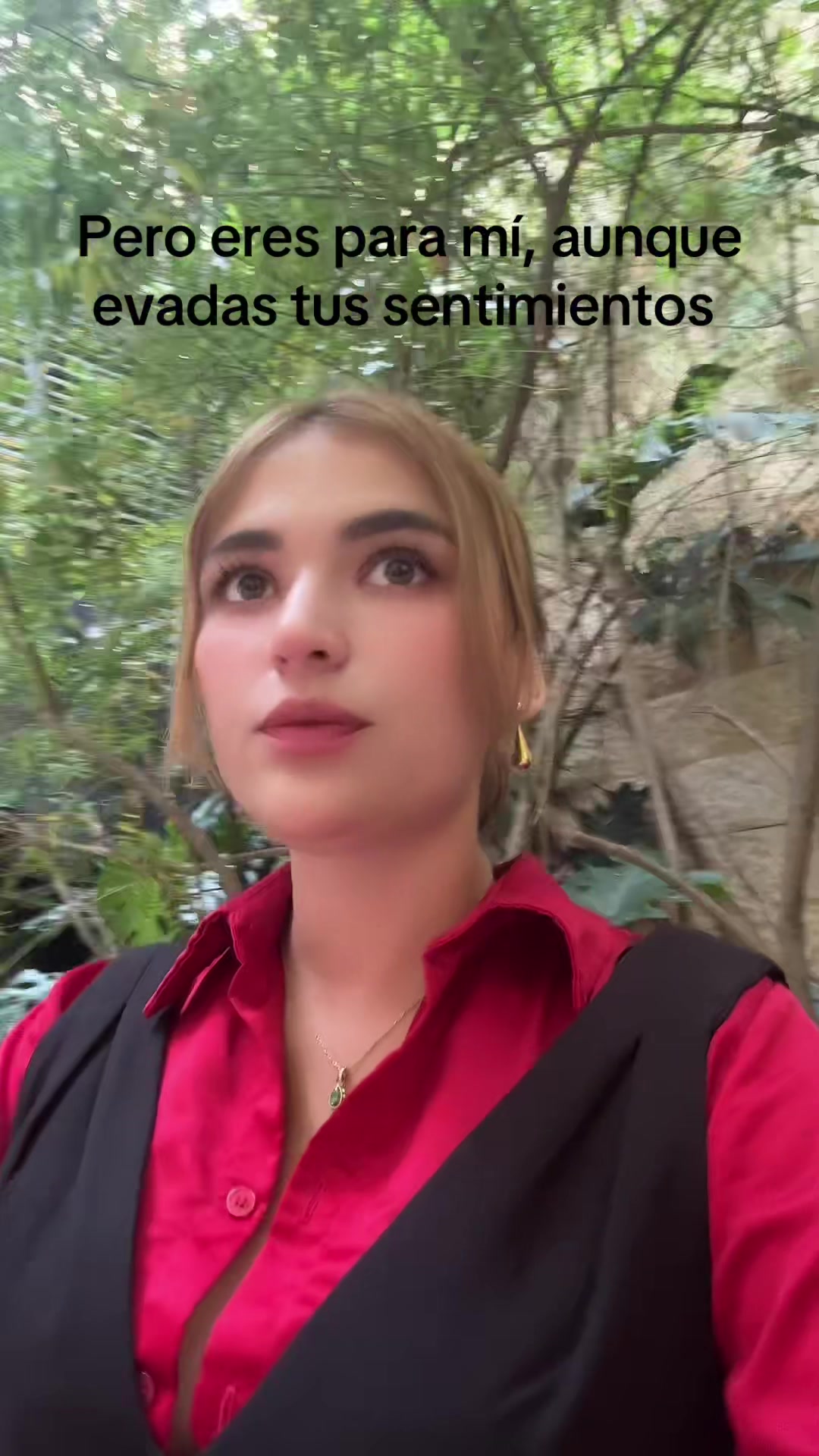 @dianamontana_