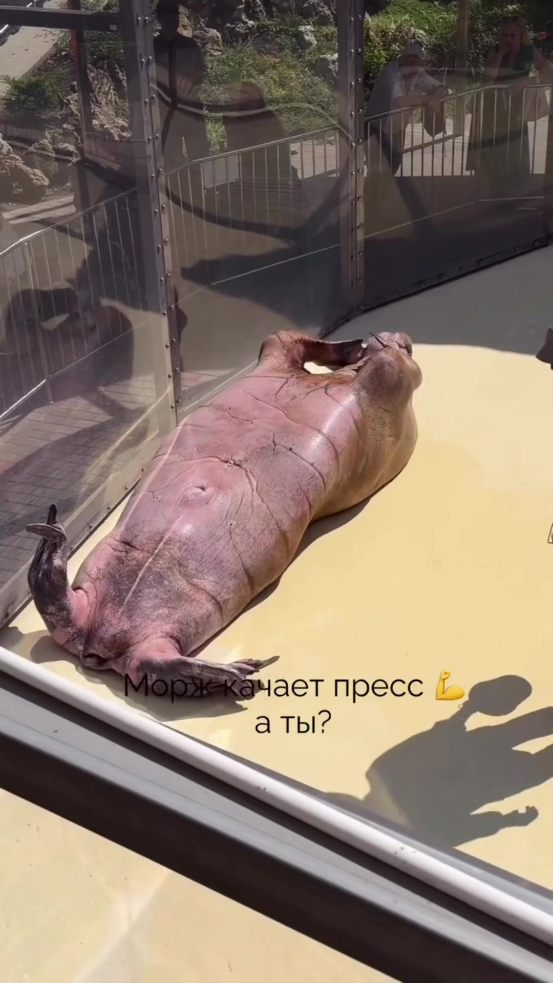 @Tatiana Avram