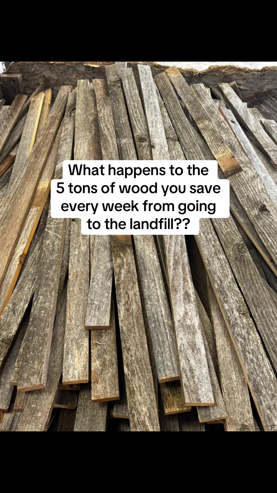 @Rockin Wood
