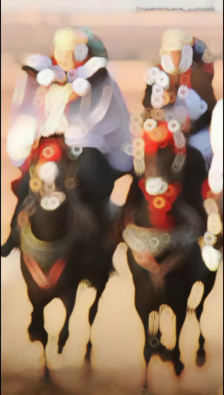 @🔱 𝓐𝓷𝓮𝓼 𝓬𝓱𝓲𝓽𝓪𝓷𝓪💰🐺