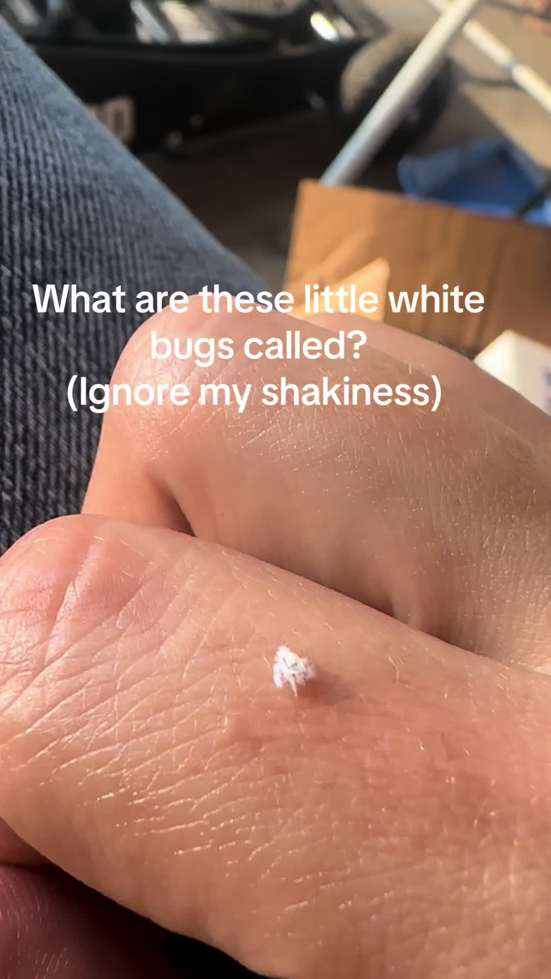 @Sarah Morgan