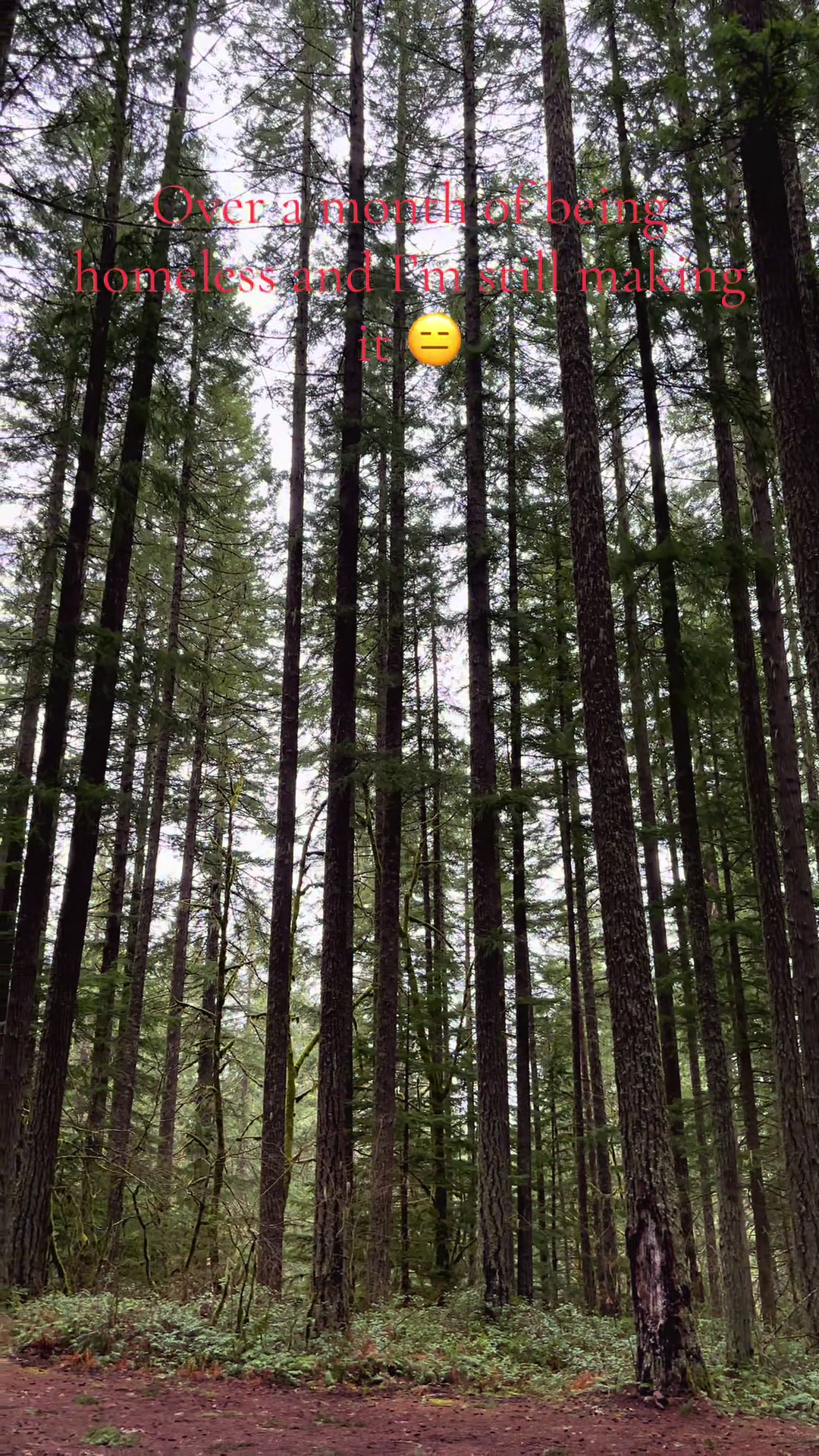 @Washington State Fishing