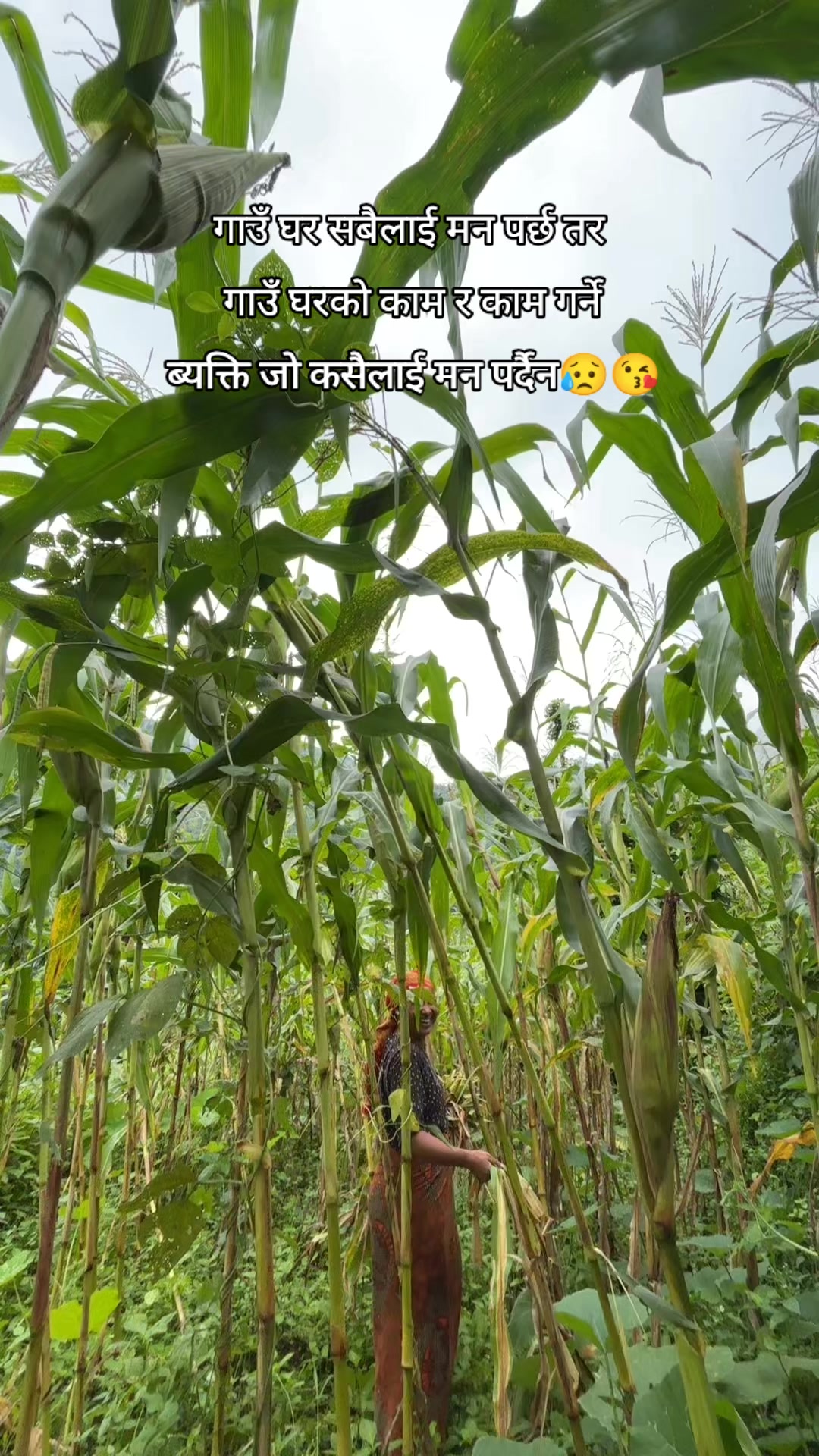@Miss thapa 💋🤞