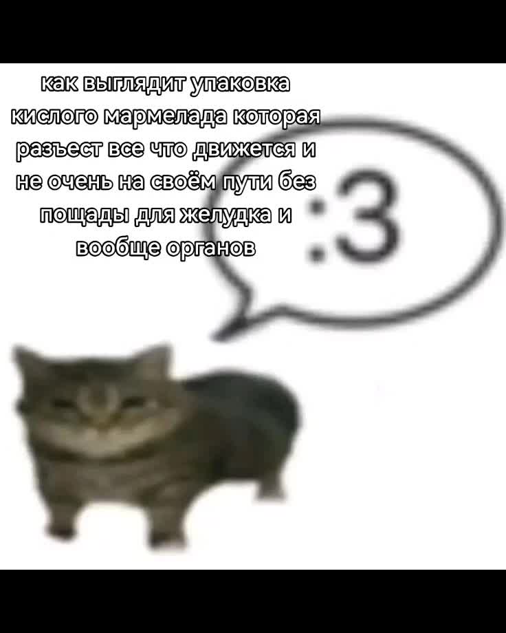 @(–_–;)