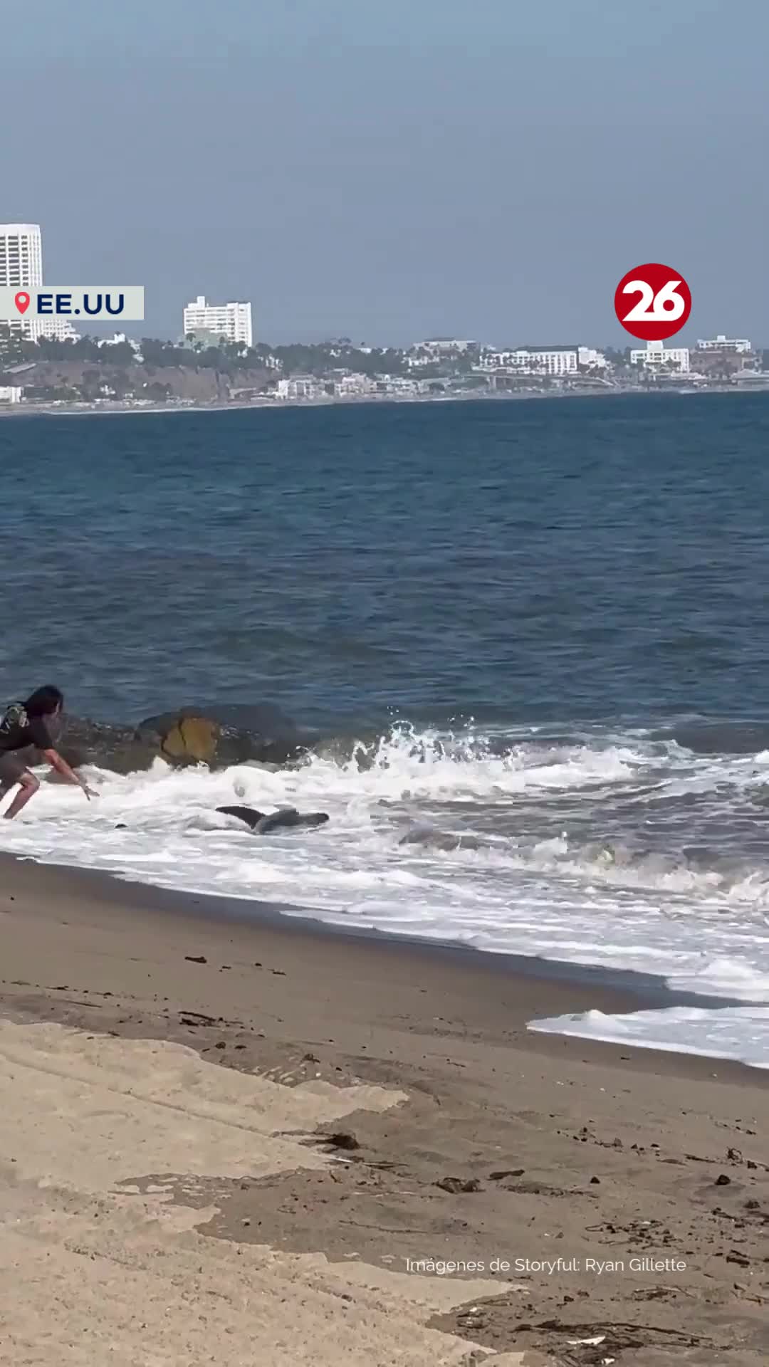 @Canal 26