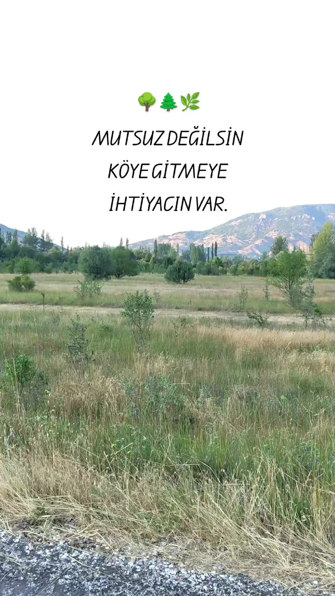 @Ahmet Çıkrıkçı