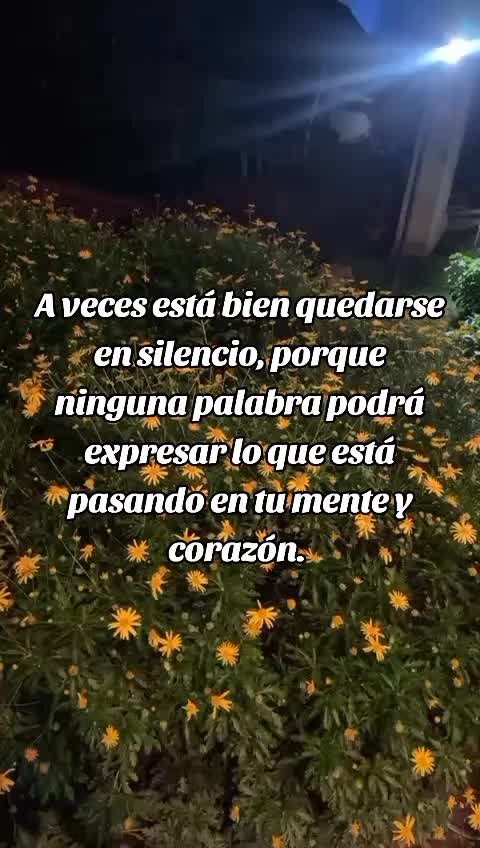 @Angie ⚡