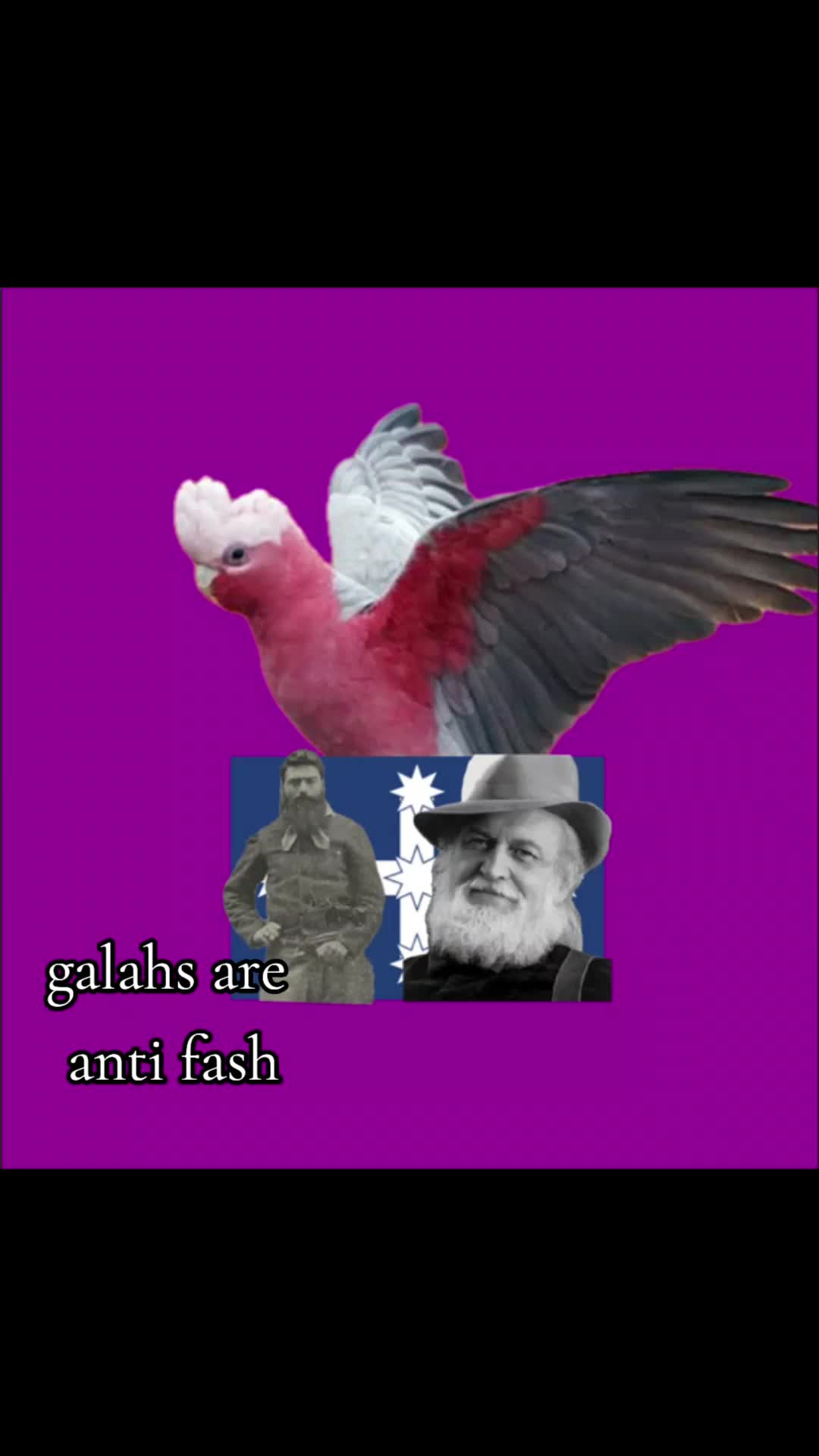 @Galah